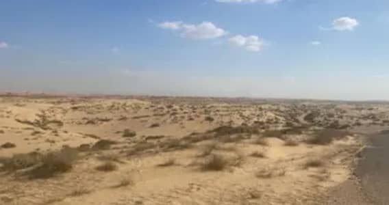 Industrial Land zum Verkauf in Al Hamriyah, Sharjah - 4578761c-9241-4bc1-982d-7f474d0fa010. jpg Industrial Land zum Verkauf in Al Hamriyah, Sharjah - 4578761c-9241-4bc1-982d-7f474d0fa010. jpg