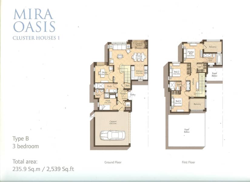 10 mira-oasis-3794-170801161631. jpg