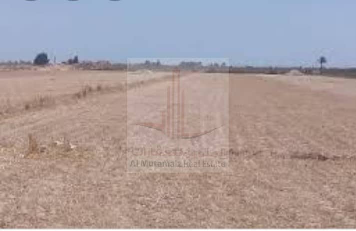 A plot of land in the Rawda area