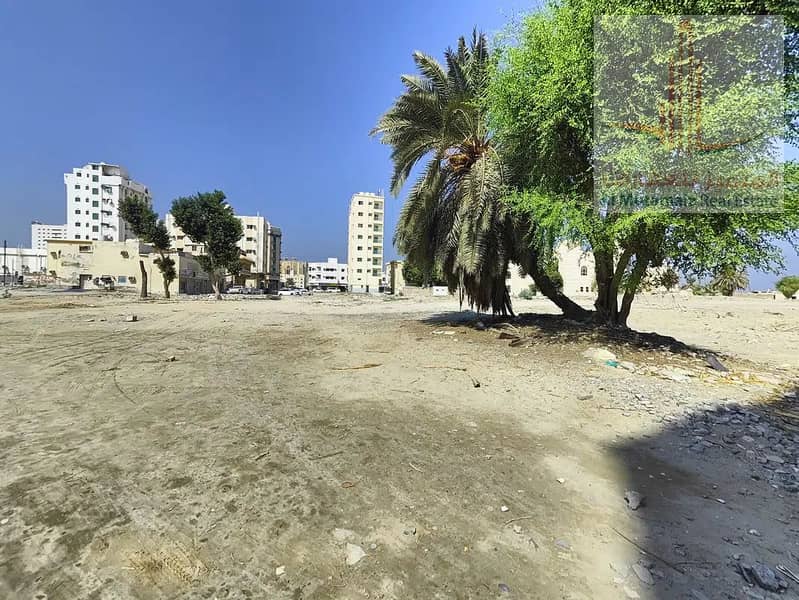 6 486850533-1066x800. jpg