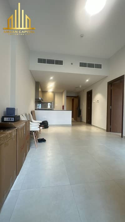 阿联酋城， 阿治曼 1 卧室公寓待售 - 1BHK (5). jpeg