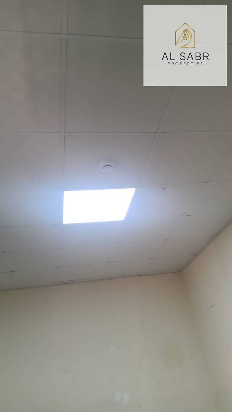 3 362974. jpg