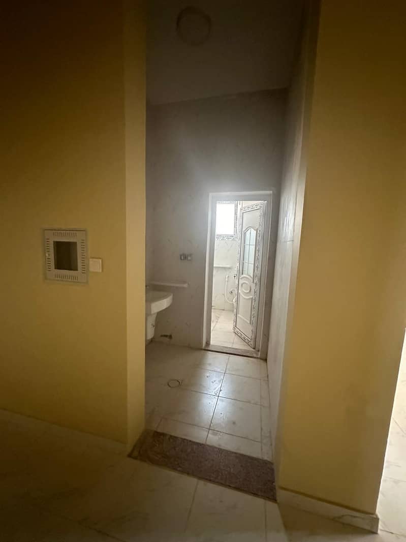 4 49163. jpg