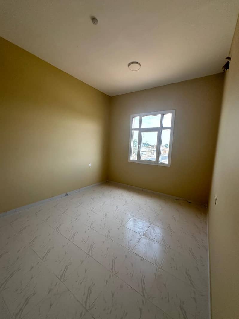 5 49196. jpg