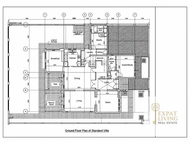 9 anonymized_villa_ground_floor_plan. png
