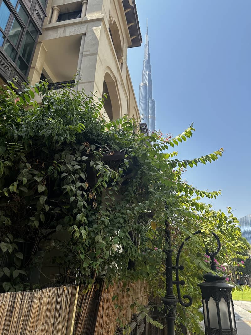 6 IMG_3294. jpeg