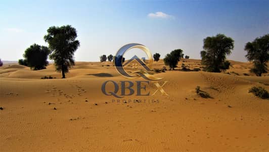 Plot for Sale in Umm Al Thuoob, Umm Al Quwain - sandcatskywalker-dubai-2388161_1920 (1). jpg Plot for Sale in Umm Al Thuoob, Umm Al Quwain - sandcatskywalker-dubai-2388161_1920 (1). jpg