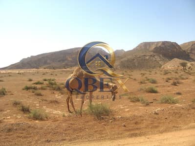 Plot for Sale in Emirates Modern Industrial Area, Umm Al Quwain - 12019-dubai-82233_1920. jpg Plot for Sale in Emirates Modern Industrial Area, Umm Al Quwain - 12019-dubai-82233_1920. jpg