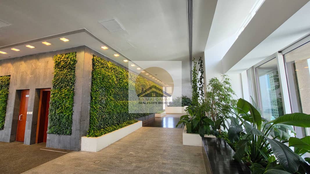14 aa4ffdca-7ff9-48d7-9ef2-2f05c19a2ccd. jpg