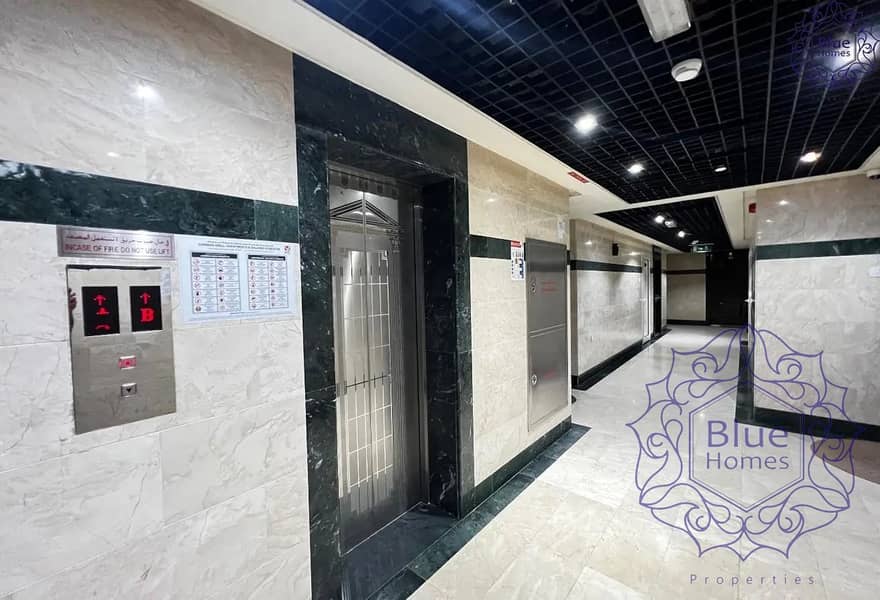 14 1312x894 (1). webp