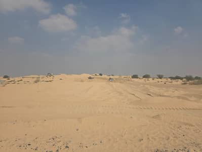 Plot te Koop in Al Zubair, Sharjah - WhatsApp Image 2026-04-08 at 11.55. 32 AM (2). jpeg Plot te Koop in Al Zubair, Sharjah - WhatsApp Image 2026-04-08 at 11.55. 32 AM (2). jpeg