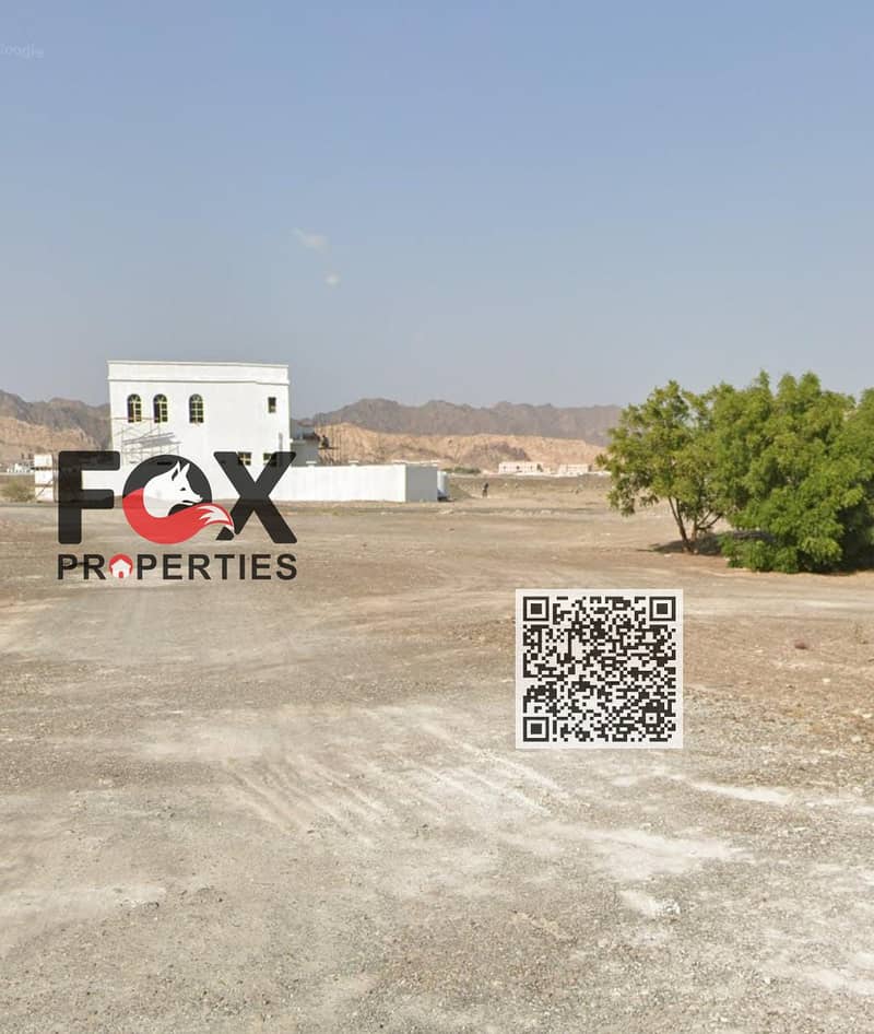 3 WhatsApp Image 2026-09-17 at 2.47. 47 PM. jpeg. png