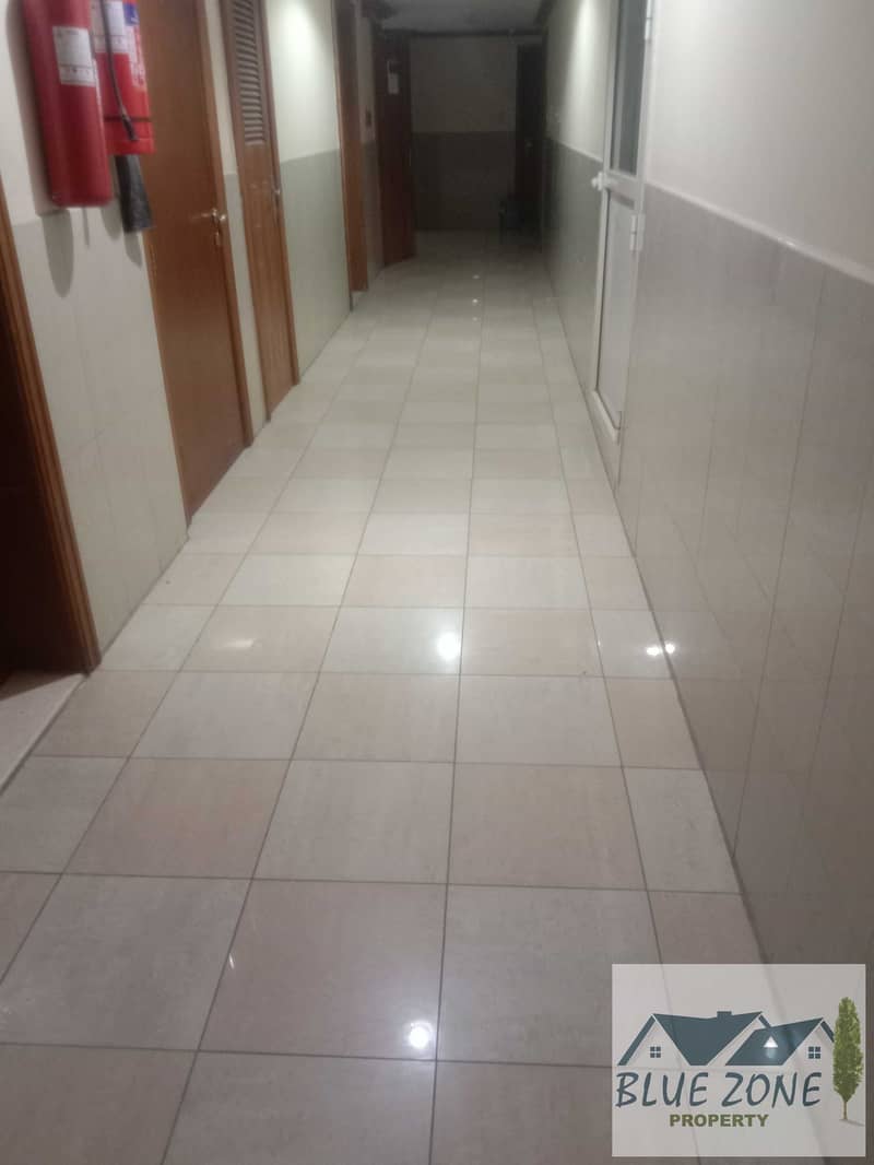 6 IMG_20260901_105243. jpg