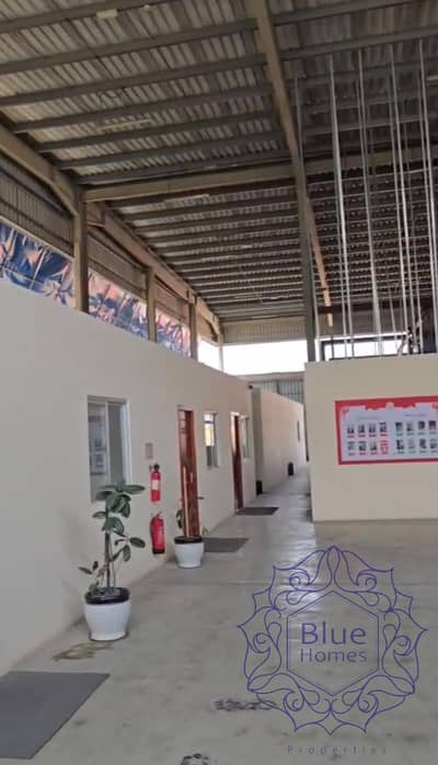 Factory te Koop in Industrial Area, Umm Al Quwain - WhatsApp Image 2026-09-17 at 4.11. 42 PM. jpeg Factory te Koop in Industrial Area, Umm Al Quwain - WhatsApp Image 2026-09-17 at 4.11. 42 PM. jpeg