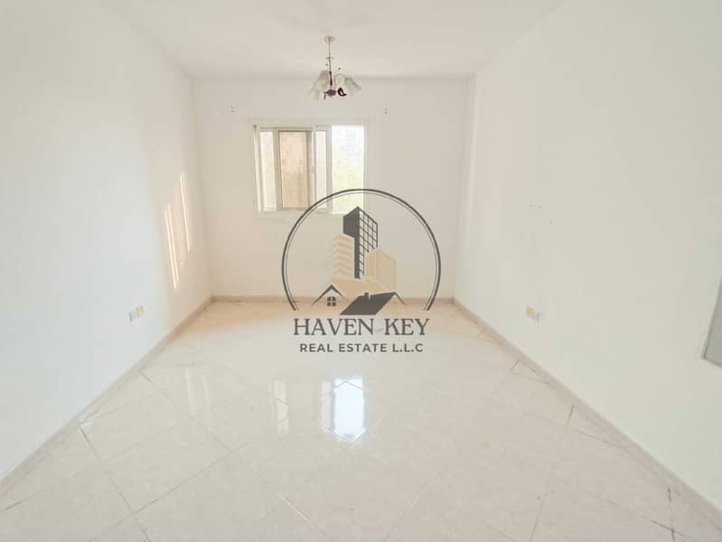 IMG_20260818_154337. jpg IMG_20260818_154337. jpg