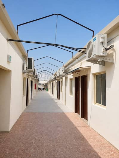 Labour Camp in affitto a Ajman Industrial, Ajman - WhatsApp Image 2026-08-15 at 1.35. 31 PM. jpeg