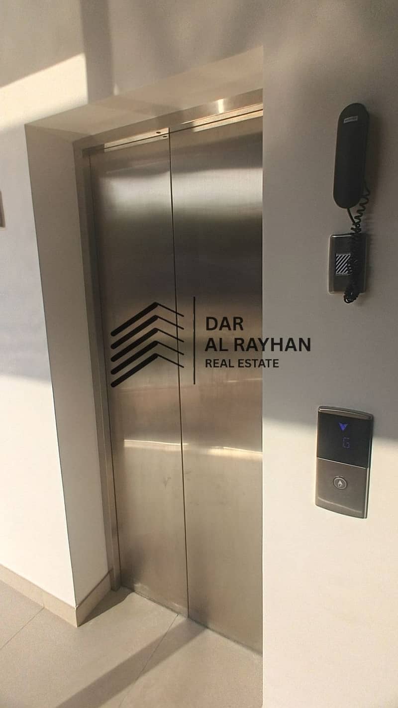 6 217705. jpg