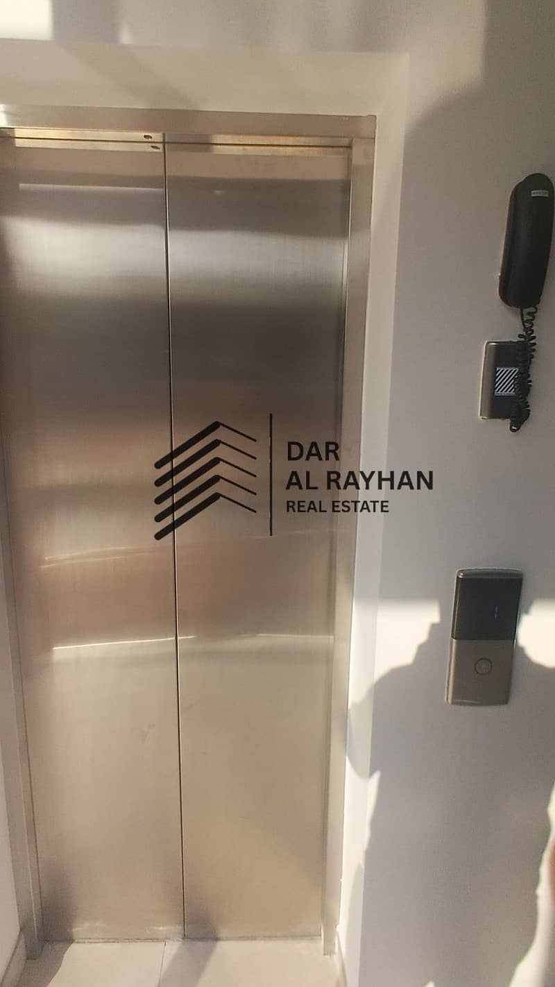 7 217704. jpg