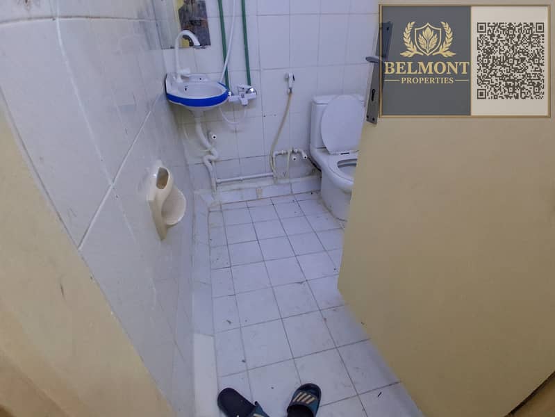 4 265383. jpg