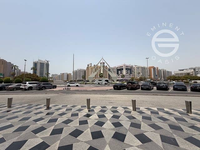 44 image_43