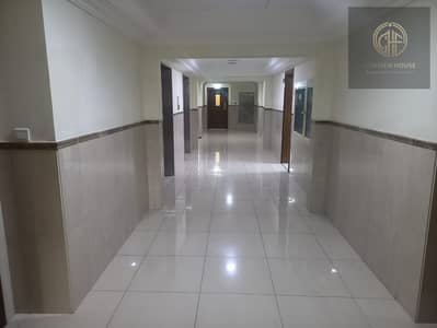 Estudio para en Alquiler en Baniyas, Abu Dhabi - WhatsApp Image 2024-08-31 at 12.55. 27 (1). jpeg Estudio para en Alquiler en Baniyas, Abu Dhabi - WhatsApp Image 2024-08-31 at 12.55. 27 (1). jpeg
