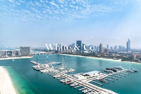 1 habitación Apartamento para en Alquiler en Dubai Harbour, Dubai - Apartamento en Dubai Harbour，Emaar Beachfront，Sunrise Bay，Sunrise Bay Tower 1, 1 dormitorio, 147250 AED - 16554569