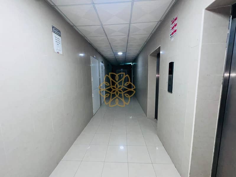 2 57893. jpg