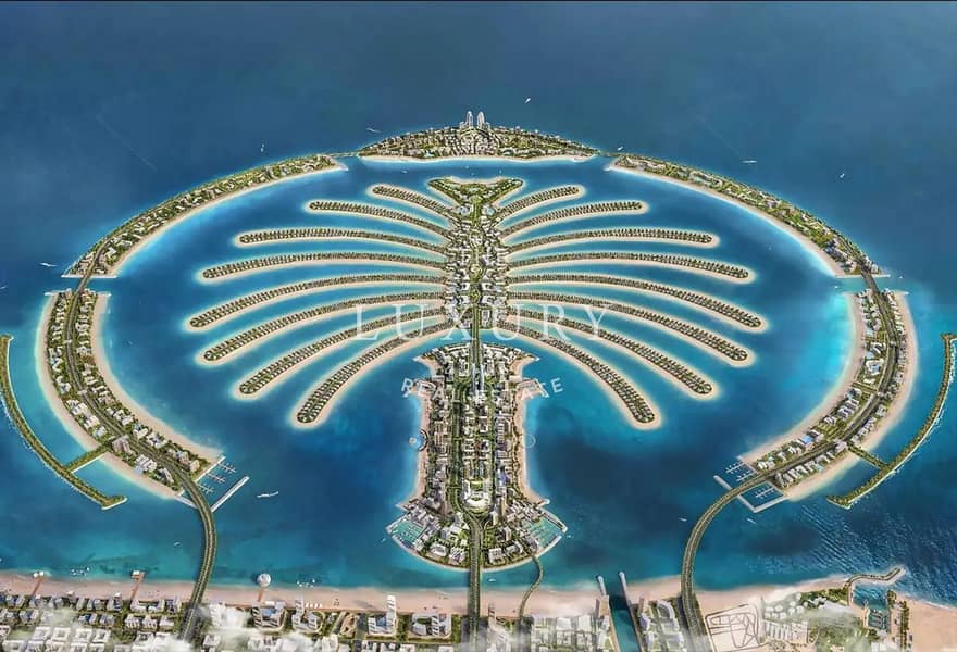 10 palm10. jpg