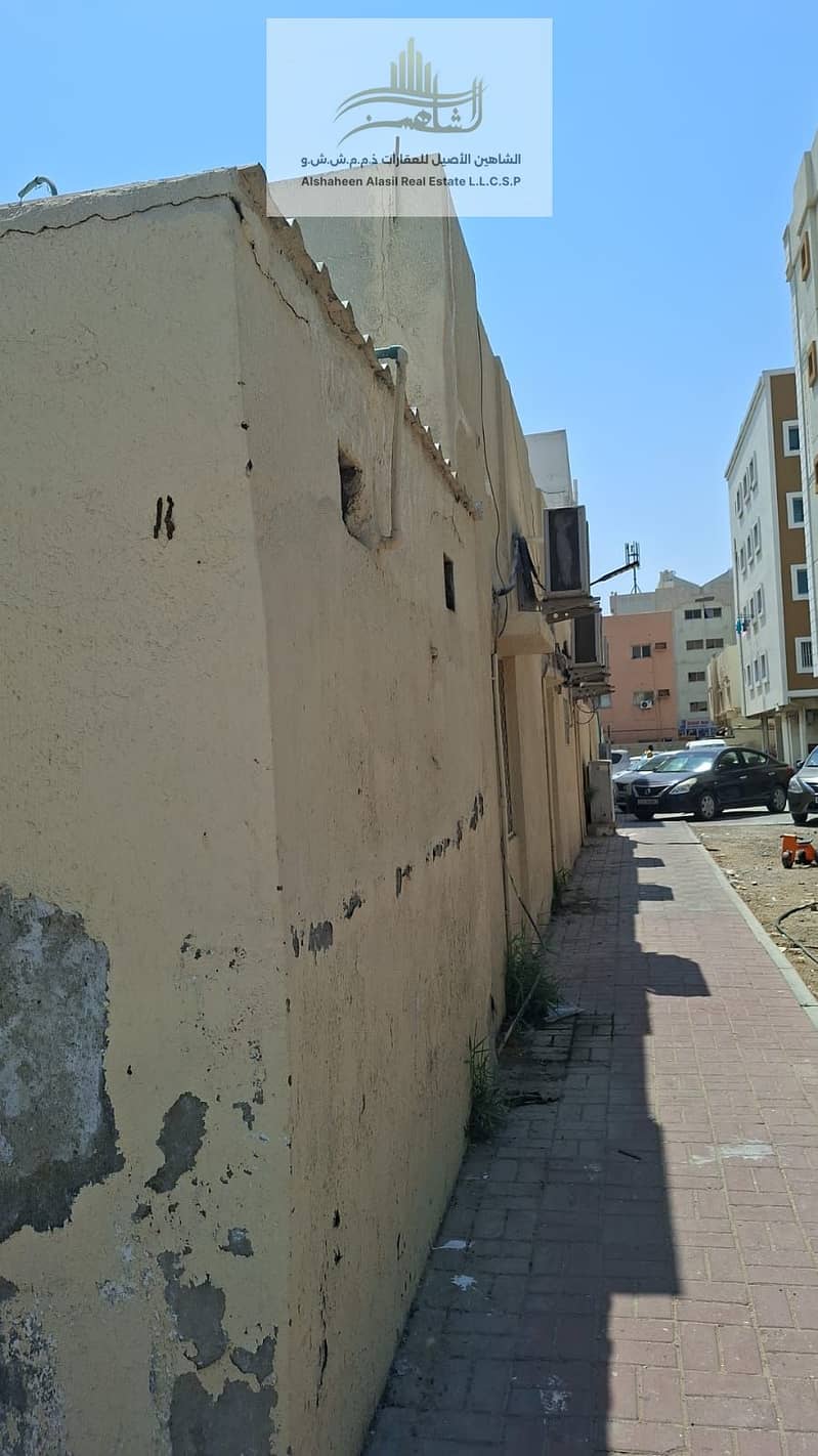 3 WhatsApp Image 2026-09-19 at 12.00. 57 PM (2). jpeg