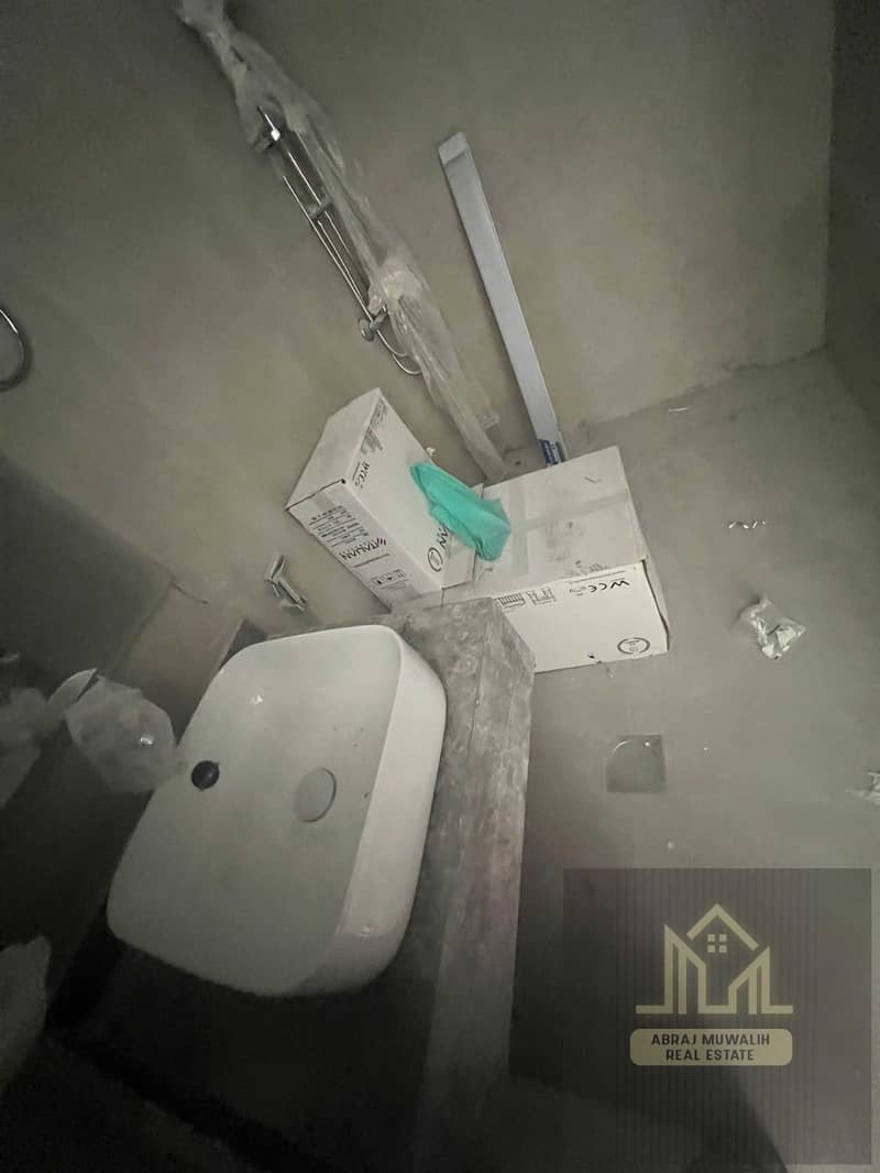 8 156330. jpg