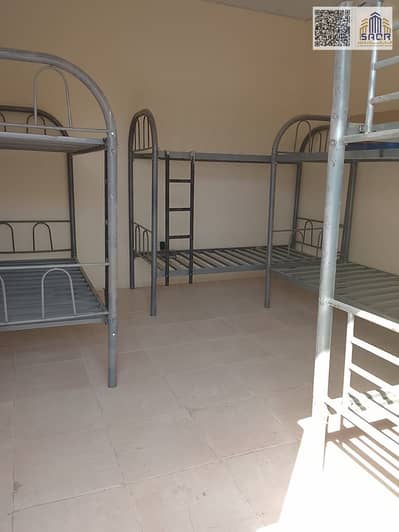 Labour Camp zum Miete in Al Sajaa, Sharjah - WhatsApp Image 2026-09-19 at 12.32. 13 PM (1). jpeg