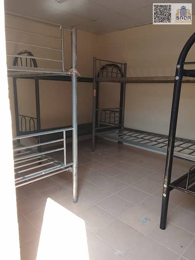 Labour Camp for Rent in Industrial Area, Sharjah - WhatsApp Image 2026-08-31 at 5.58. 46 AM (4). jpeg
