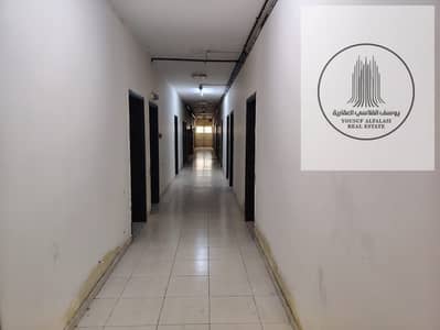 Labour Camp in affitto a Al Jurf, Ajman - WhatsApp Image 2026-09-19 at 6.10. 53 PM (1). jpeg