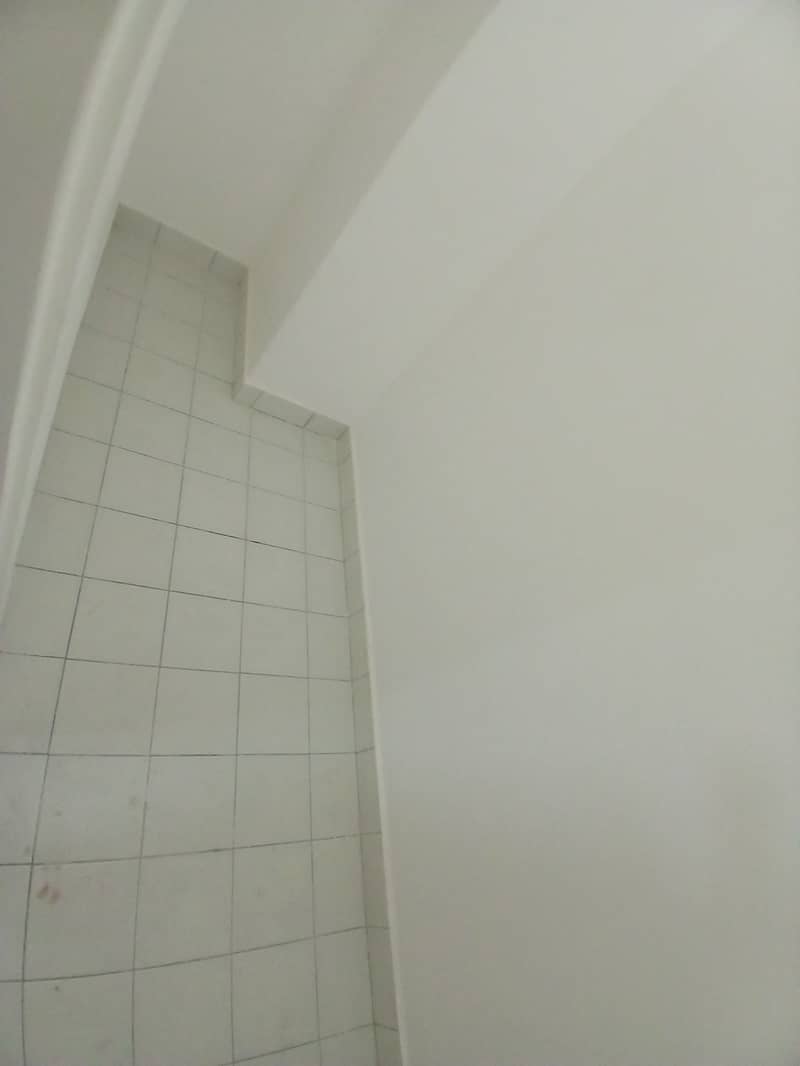 9 1000050186. jpg