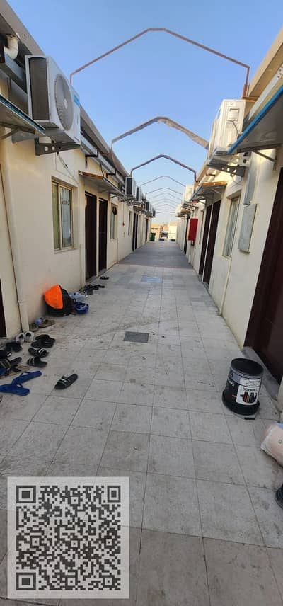 Labour Camp in affitto a Ajman Industrial, Ajman - WhatsApp Image 2026-09-19 at 10.34. 14 AM (1). jpeg