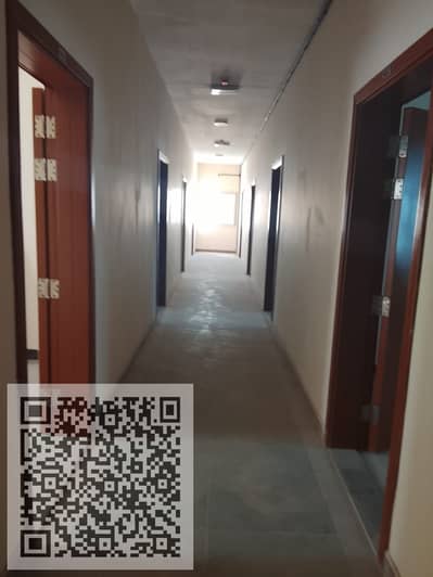 Labour Camp in affitto a Al Jurf, Ajman - WhatsApp Image 2026-09-19 at 10.33. 21 AM. jpeg