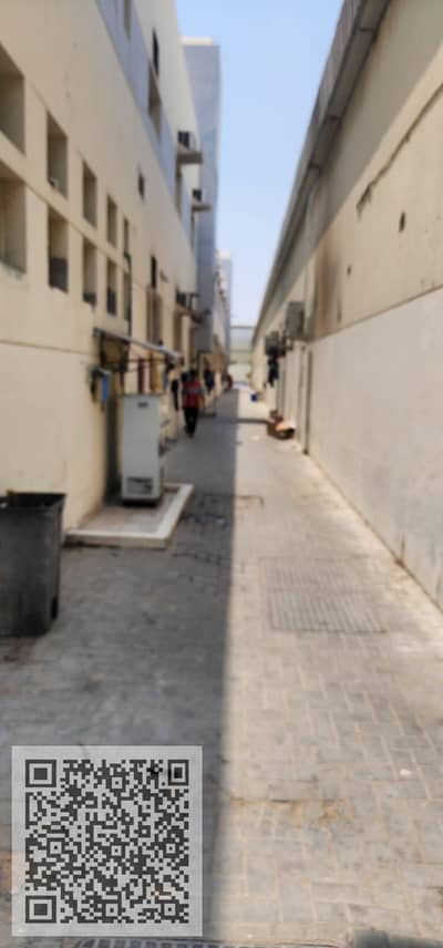 Labour Camp in affitto a Al Jurf, Ajman - WhatsApp Image 2026-09-19 at 10.32. 50 AM (1). jpeg