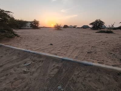 Industrial Land zum Miete in Al Sajaa, Sharjah - WhatsApp Image 2026-09-20 at 12.06. 31 PM (1). jpeg
