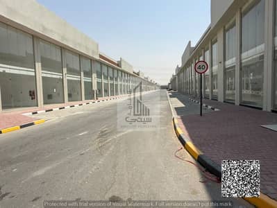 محل تجاري  للبيع في الحليو، عجمان - WhatsApp Image 2026-09-20 at 12.22. 23 PM (2). jpeg