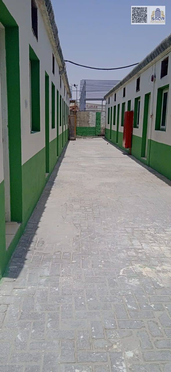 2 1000146650. jpg