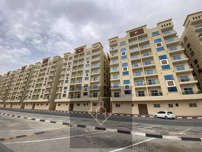 Studio de à à vendre à Al Yasmeen, Ajman - WhatsApp Image 2026-09-17 at 2.41. 13 PM (1). jpeg Studio de à à vendre à Al Yasmeen, Ajman - WhatsApp Image 2026-09-17 at 2.41. 13 PM (1). jpeg