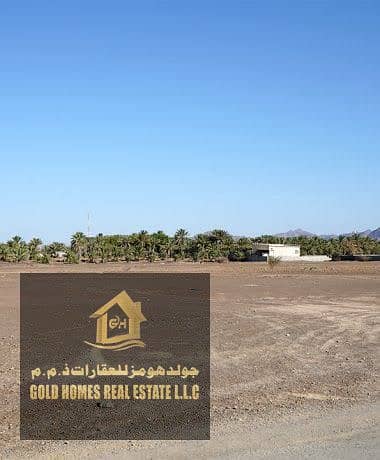 Mixed Use Land in vendita a Liwara 1, Ajman - images (2). jpg Mixed Use Land in vendita a Liwara 1, Ajman - images (2). jpg