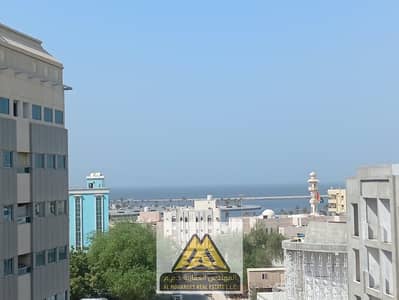 1 Спальня Апартамент в аренду в Ливара 1, Аджман - WhatsApp Image 2026-09-05 at 2.48. 46 PM (1). jpeg 1 Спальня Апартамент в аренду в Ливара 1, Аджман - WhatsApp Image 2026-09-05 at 2.48. 46 PM (1). jpeg