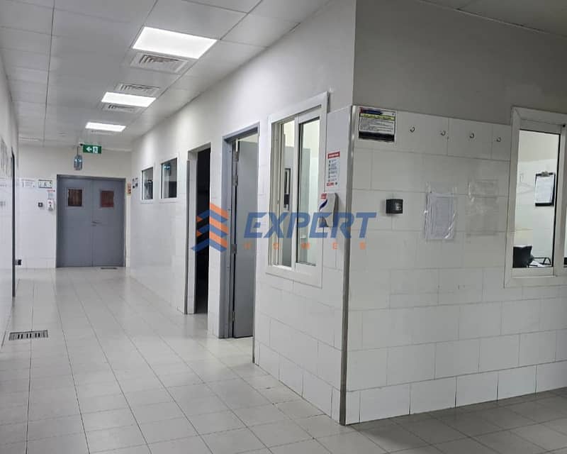 11 phototune. ai_1789980925. png
