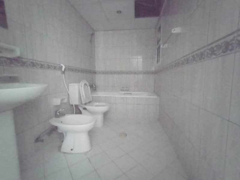 8 1000112477. jpg