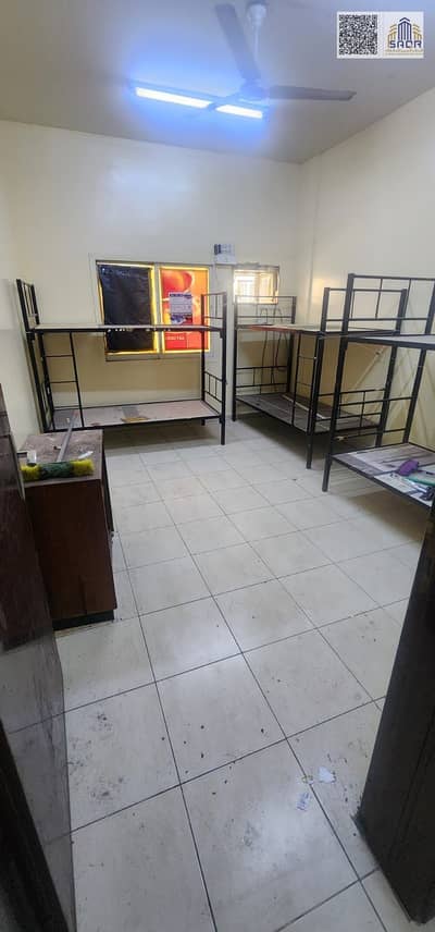 Labour Camp in affitto a Al Jurf, Ajman - WhatsApp Image 2026-09-21 at 6.53. 39 PM (3). jpeg