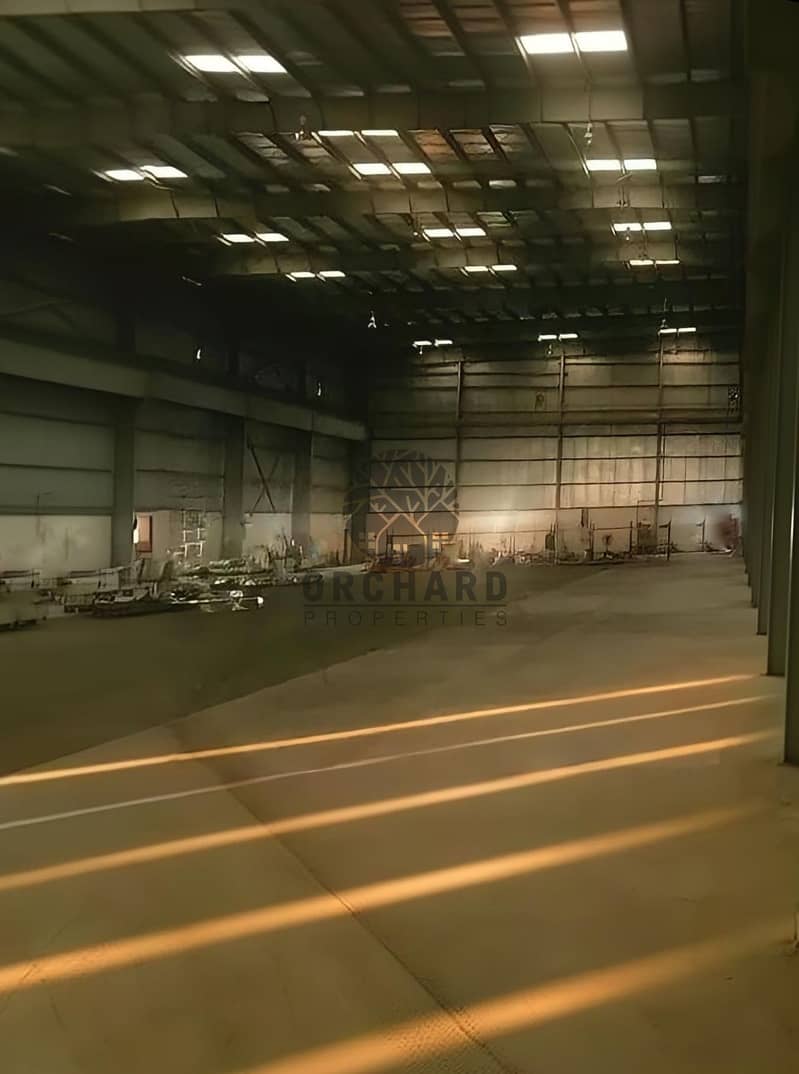4 1000179987. jpg