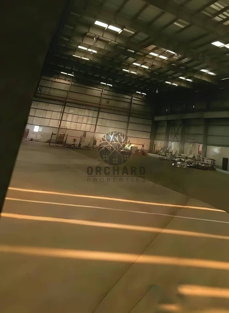 7 1000179986. jpg