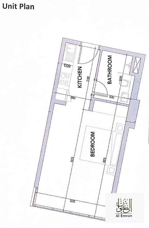 7 1000553494. jpg