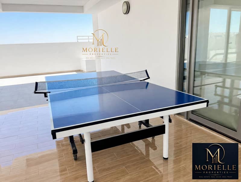 10 luxury_ping_pong_terrace_1. jpg